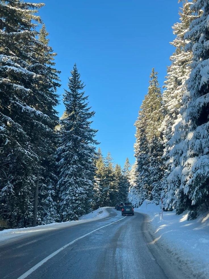 Die S16 Arlberg Schnellstraße durch den winterlichen Wald